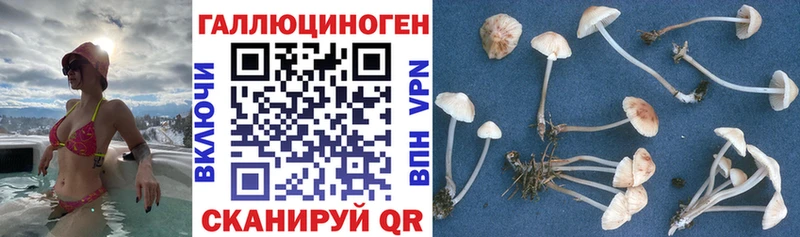 купить  цена  KRAKEN   Псилоцибиновые грибы мухоморы  Олонец 