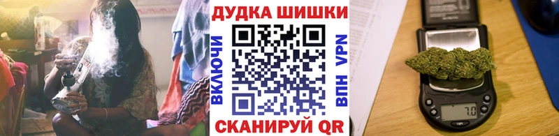 Конопля планчик  Олонец 